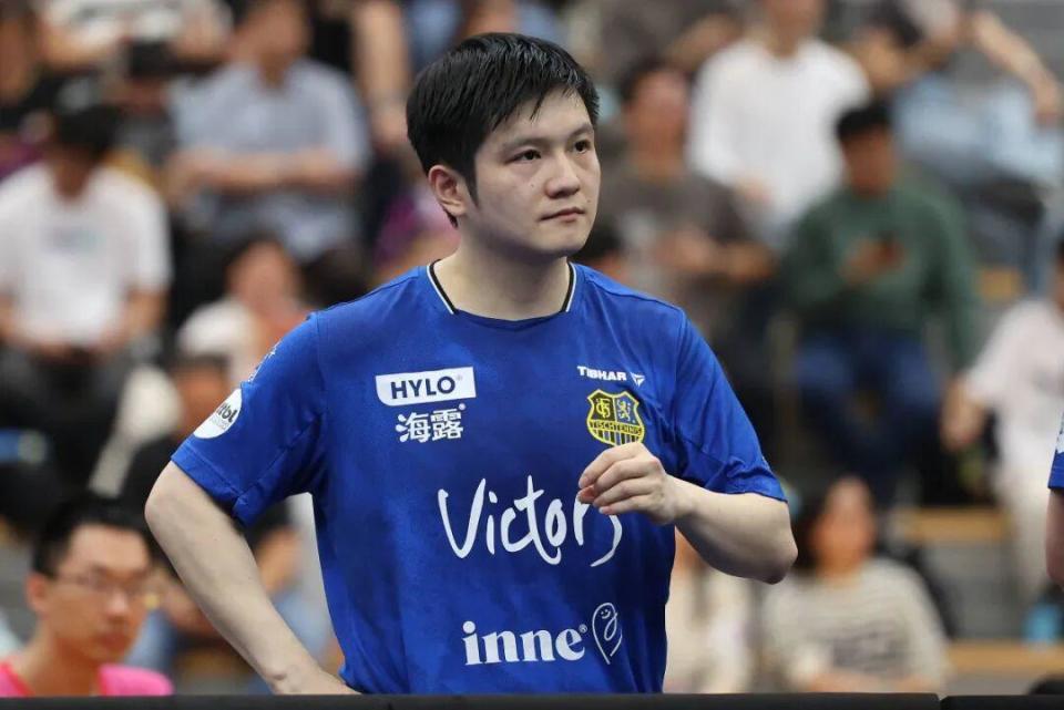 的芝野虎丸 的芝野虎丸